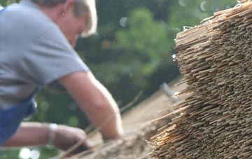 professional Princeland thatchers