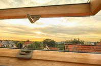 rated Princeland roof window companies